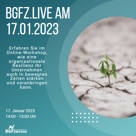 BGFZ 2023 1